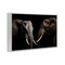 Stupell Industries Pachyderm Elephant Pair Framed Giclee, design by Decent Exposures